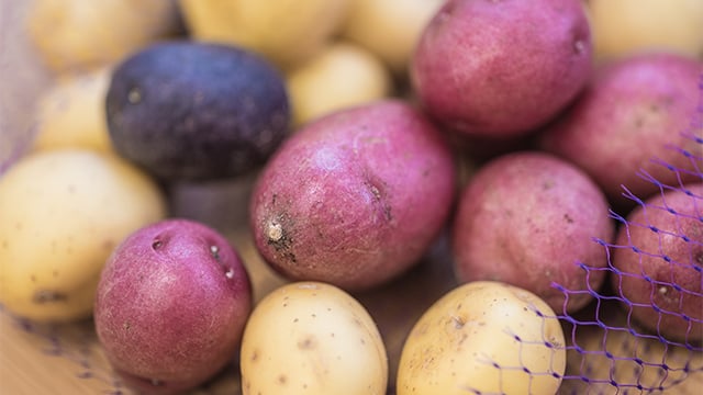 Tricolor potatoes in mesh bag on wooden table
