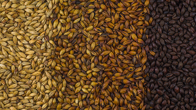 4 types of seed for barley malt beer