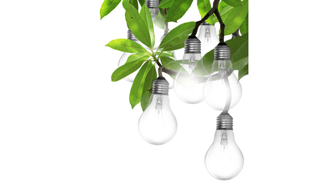 Renewable-power 640x360