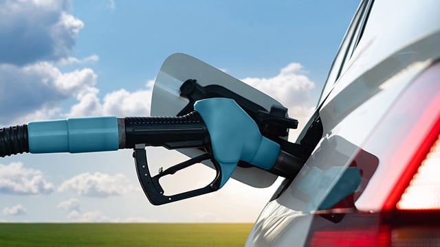 FAME Biodiesel pre-treatment systems