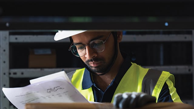 Assessment & Advisory