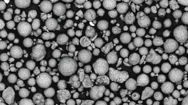 The cat fine problem and where it comes from.jpg